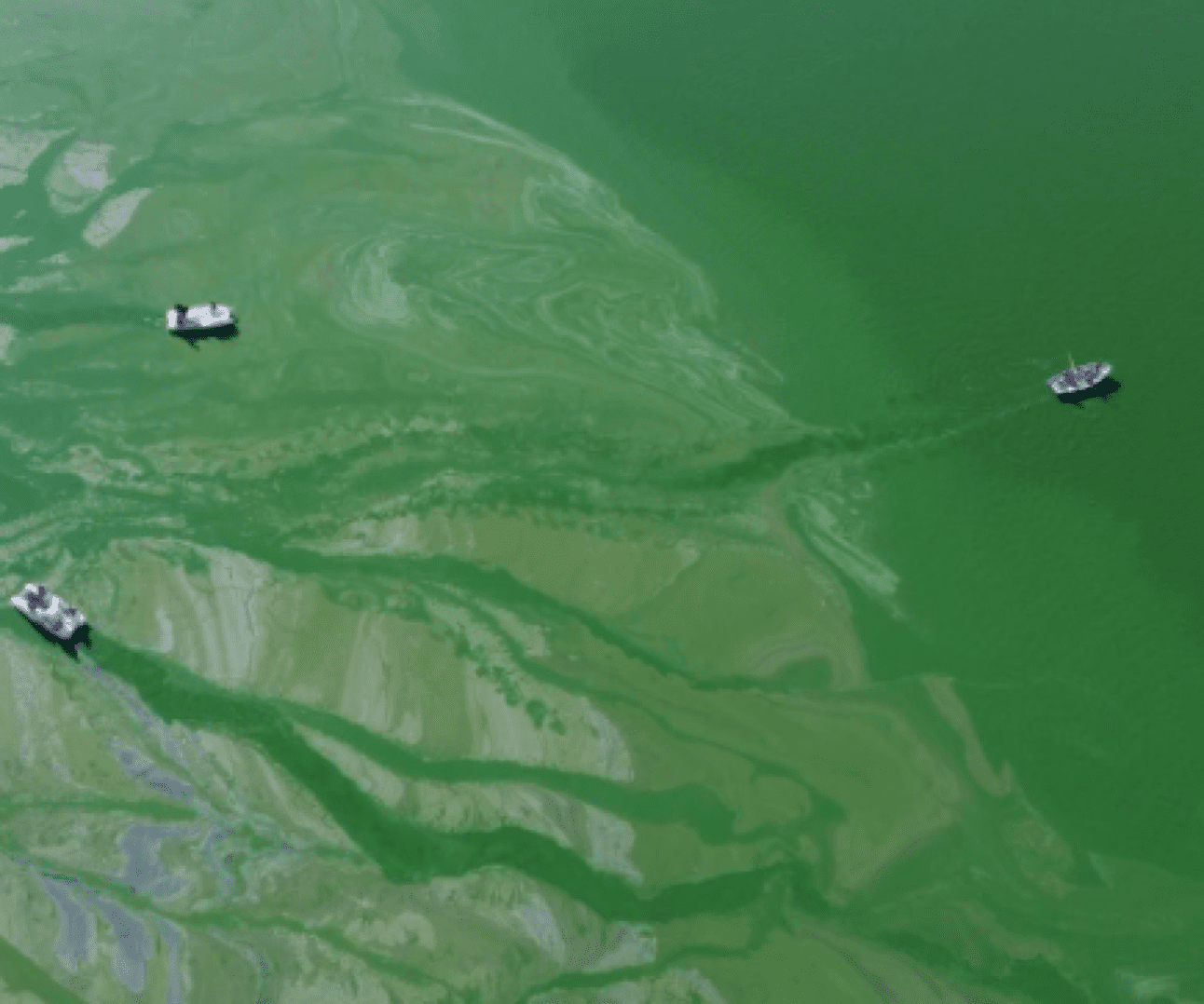EnviroInsight, Inc