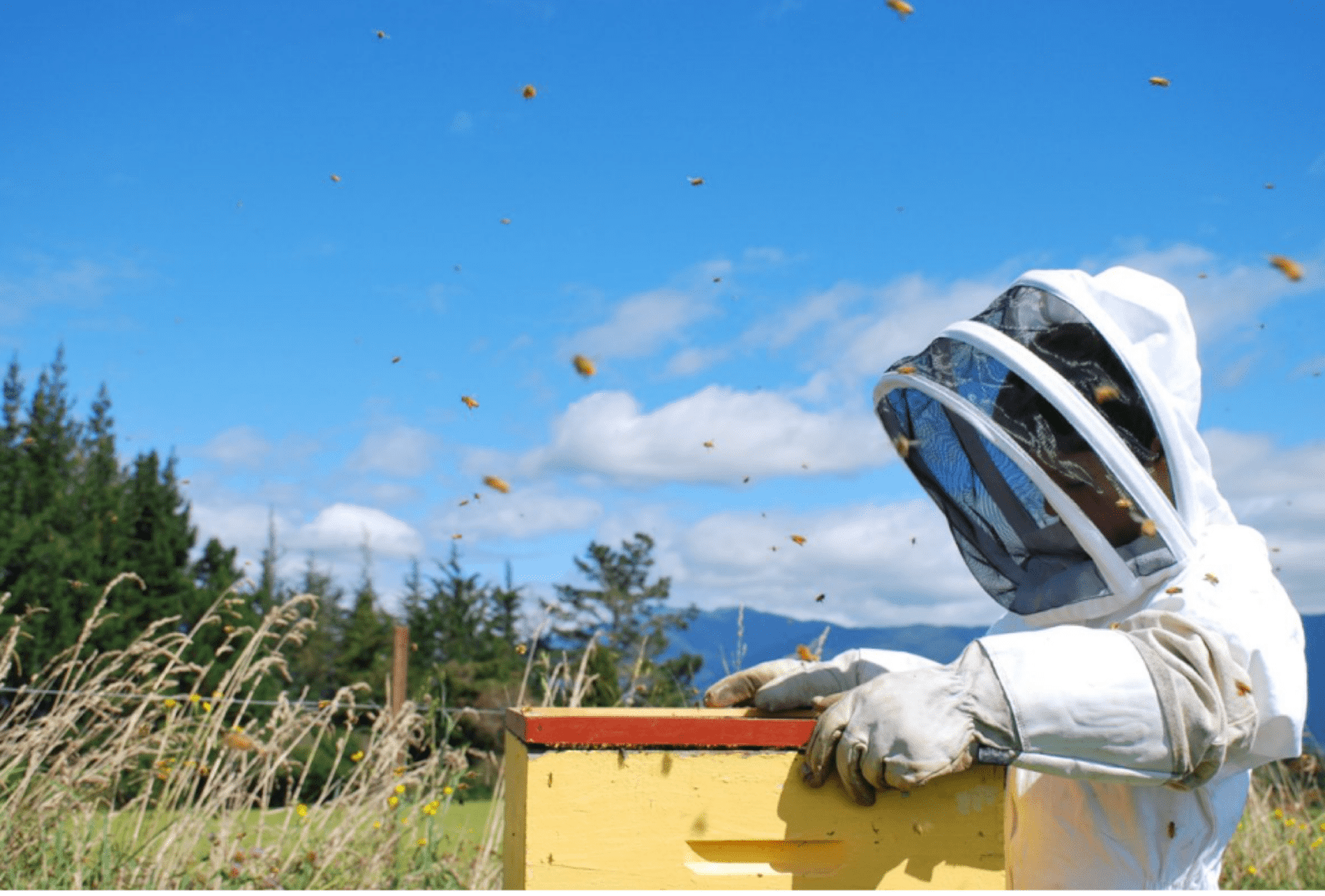 EnviroInsight, Inc