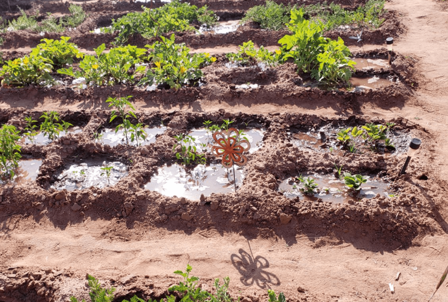 gardening