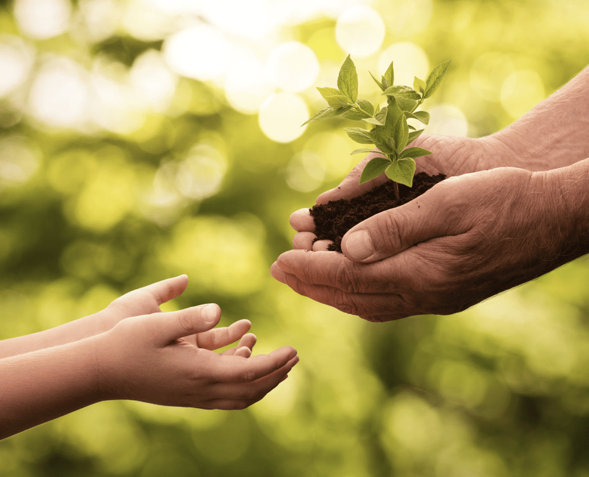 older hands passing seedling to child