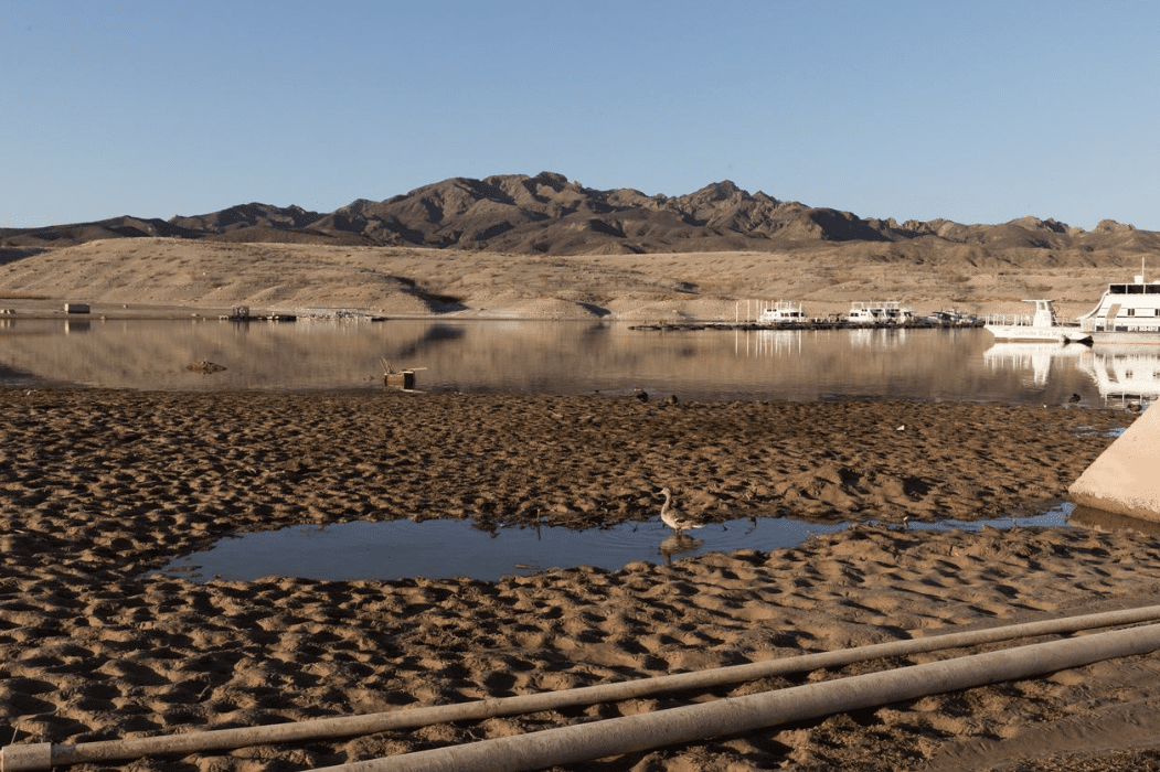 A river affected by drought