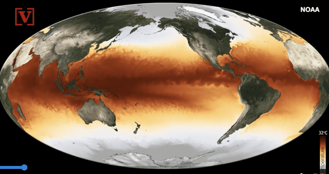 Global sea surface temperature map highlighting warming
