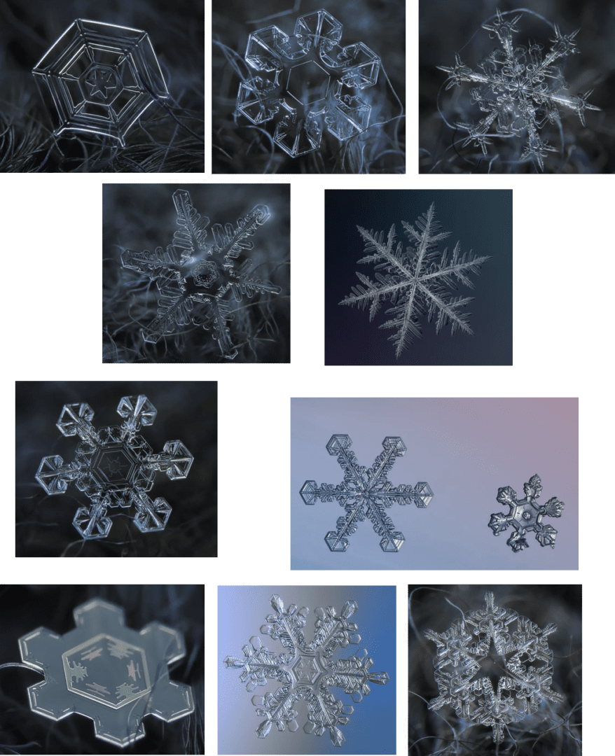 Close-up crystalline snowflake collage on dark