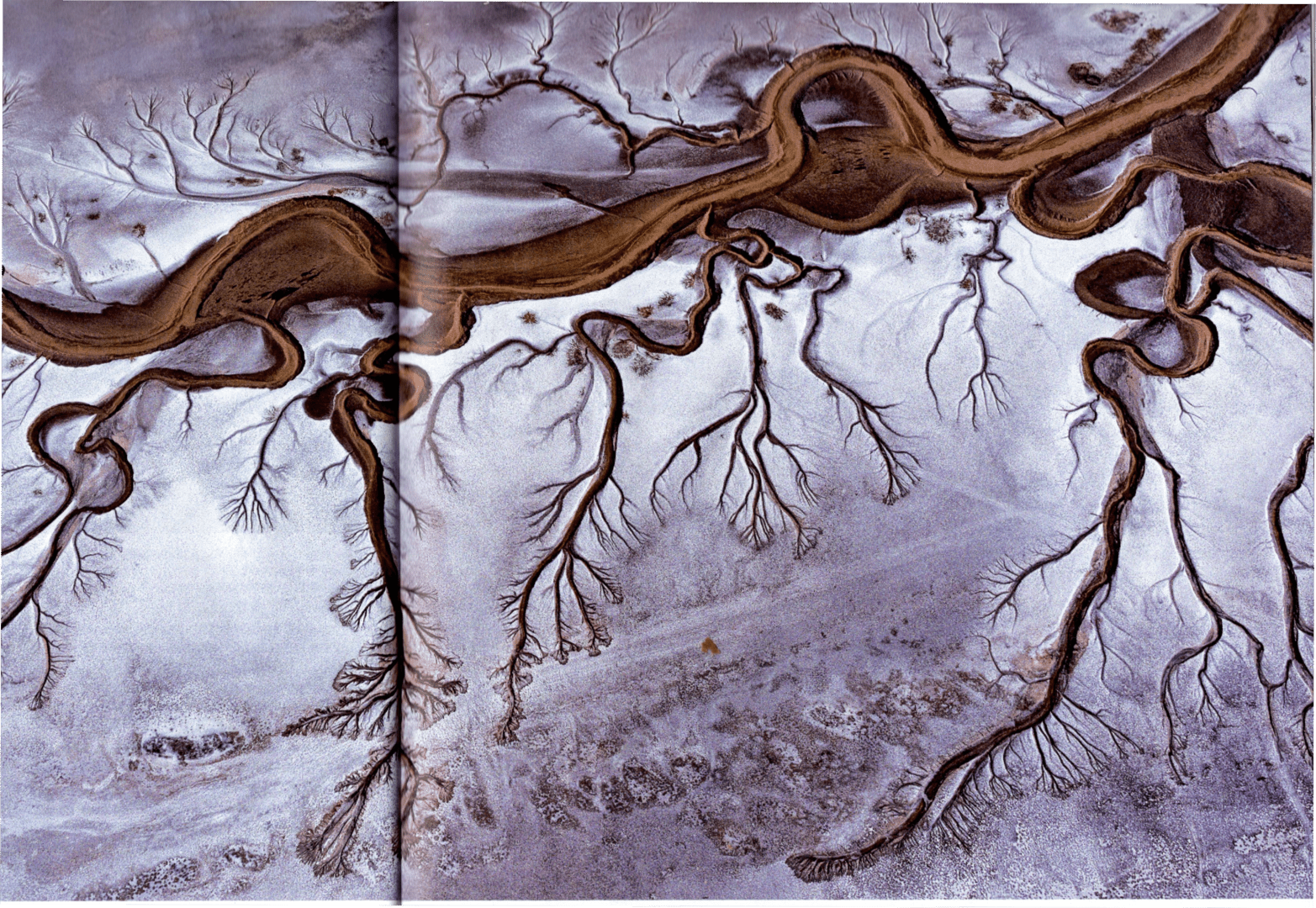 Aerial view of meandering river and tributaries