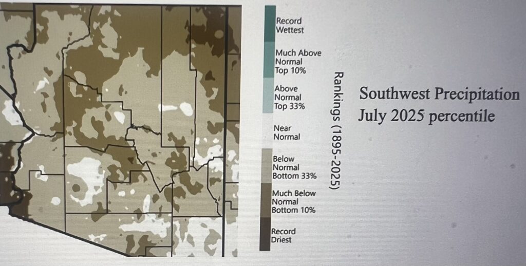 Southwest precipitation percentile map July 2025