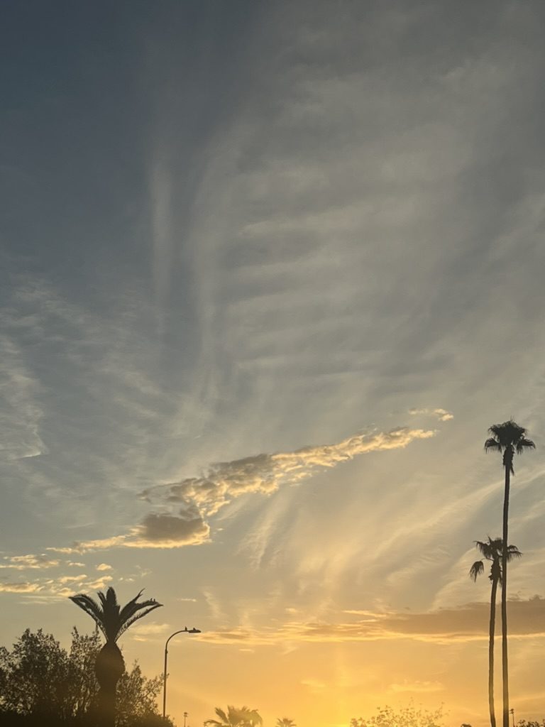 Sunset with palm trees and dramatic clouds