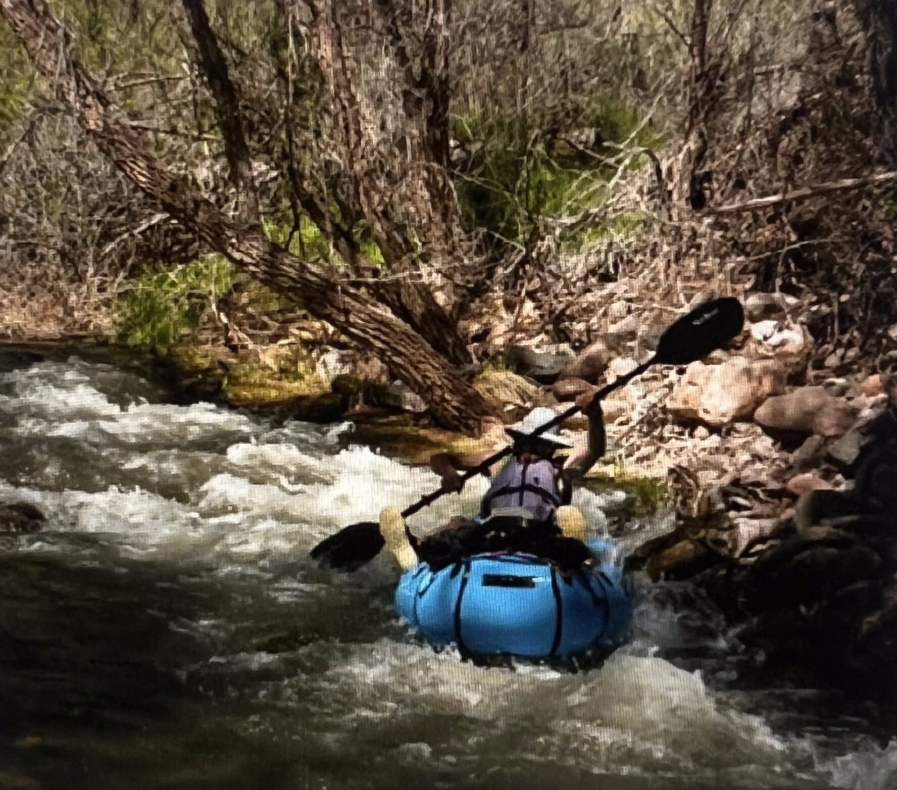 Kayaker paddling whitewater near riverside trees